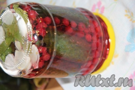 После закипания воды в кастрюле стерилизовать банки с огурчиками 8 минут. Затем аккуратно достать баночки и сразу закрутить крышками. Банки с огурцами и красной смородиной перевернуть вверх дном и хорошо укутать (например, в одеяло) до полного остывания, а затем убрать в погреб или кладовку.
