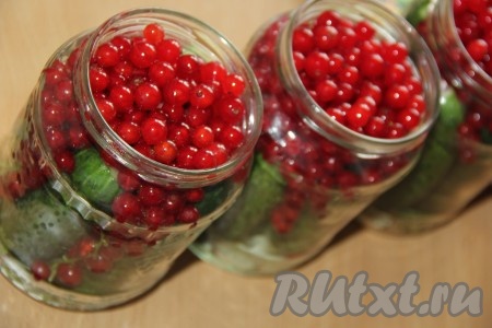 Сверху насыпать ягоды красной смородины. Часть ягод просыпется в промежутки между огурчиками, а часть - останется сверху.