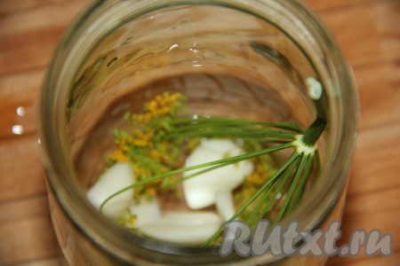 Я предварительно простерилизовала банку на пару, крышку проварила 5 минут в кипящей воде. На дно банки выложить зонтик укропа и пару очищенных зубчиков чеснока, разрезанных на несколько частей.