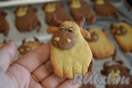 Готовое печенье достаём из духовки, оно будет очень аппетитно пахнуть какао и ванилином. Даём печенью остыть, не снимая его с противня. Остывшее печенье легко снимается с противня, все детали у него держатся и не отваливаются. Посмотрите, какие симпатичные бычки у нас получились!