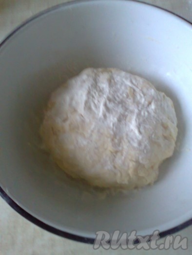 Слегка присыпать тесто мукой.
