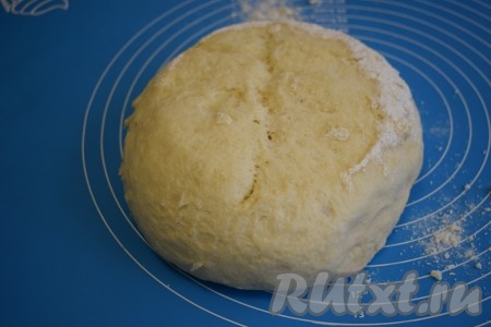 Выкладываем тесто на силиконовый коврик (или на стол), присыпанный мукой, и слегка обминаем.
