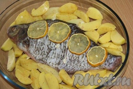 В середину формы положить леща целиком. Сверху рыбы выложить тонкие кружочки лимона.
