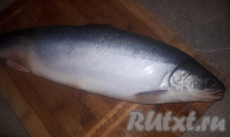 Тушку гольца, если она заморожена, разморозить при комнатной температуре, затем брюшко разрезать, удалить внутренности вместе с чёрной плёночкой, голову отрезать. Промыть выпотрошенную рыбу в проточной воде.
