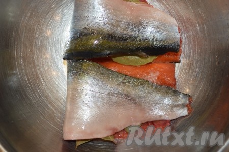 Переложить подготовленные филе в посуду, в которой и будет просаливаться голец, прикрыть крышкой и убрать в холодильник на 2-3 дня. По прошествии первого дня засолки, если в посуде появится вода, её нужно слить.
