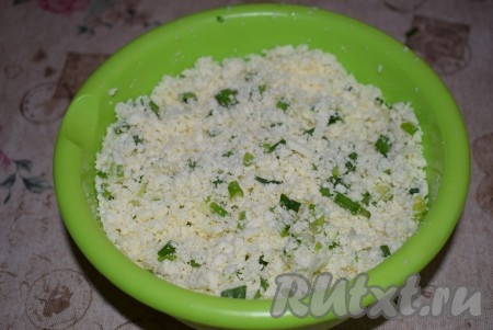 Перемешиваем адыгейский сыр и лук между собой, пробуем начинку, если необходимо, подсаливаем по вкусу, можно добавить специи или перец - это по желанию. Наша начинка для чебуреков готова.
