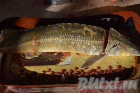 Обтираем кожицу осетра бумажными полотенцами и натираем рыбу маринадом, обильно смазывая как шкуру, так и внутренности рыбки. При натирании шкуры будьте очень осторожны, так как на ней располагаются шипы и сама она покрыта мелкими острыми чешуйками. Я сделала надрез у головы осётра и удалила хвост, таким образом рыба легче примет нужную мне полукруглую форму для подачи на круглой тарелке. Если вы будете подавать осетра на плоском длинном блюде, то это делать совсем необязательно.
