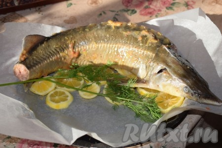 Застилаем форму для запекания пергаментом. Лимон разрезаем на кружочки, я использовала тот лимон, с которого сняла цедру. Лимон в форме придаст аромат блюду и будет красиво смотреться при подаче. Покрываем кружочки лимона укропом и слегка присаливаем его. На лимон выкладываем осётра и оставляем рыбу промариноваться на 2-3 часа при комнатной температуре.
