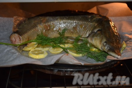 По прошествии времени разогреваем духовку и отправляем в неё противень с рыбой. Запекаем осетра целиком в духовке при температуре 190 градусов, примерно, 40 минут. Если рыба меньшего размера, то вполне хватит и 30-35 минут.
