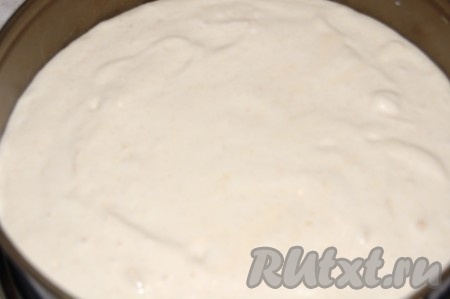 Разъемную форму смазать сливочным маслом и вылить в нее тесто.