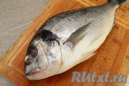 Вот такая рыбка "приплыла" к нам на ужин, это довольно крупный экземпляр, её вес 750 грамм.
