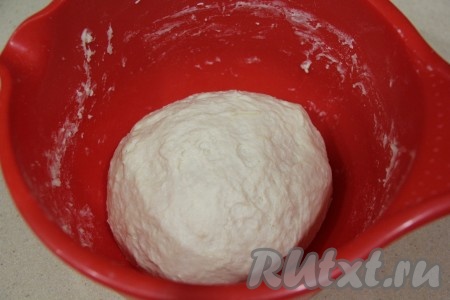 Замесить вначале ложкой, а затем как следует вымесить руками дрожжевое тесто, которое должно получиться нежным и мягким. Тесто оставить в миске, накрыть полотенцем, чтобы оно не заветрилось, и поставить на 1 час в тёплое место (до увеличения в объёме в 2-3 раза).&nbsp;
