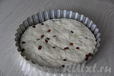 Вмешать изюм в тесто. Хорошо смазать растительным маслом форму для выпечки пирога (у меня диаметр формы 28 см), выложить тесто, равномерно распределяя его по всей форме.