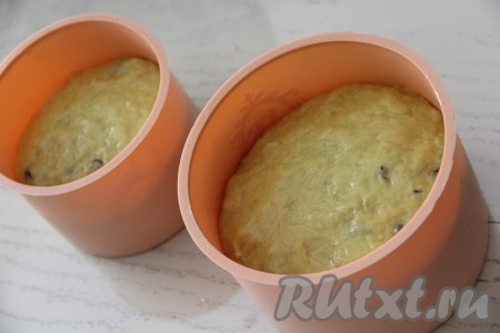 Разложить тесто по формам, заполняя их больше, чем на половину. Оставить формы в тёплом месте на 1,5 часа. Затем выпекать куличи в разогретой духовке при температуре 190 градусов, примерно, 45 минут. Время выпекания зависит от размера куличей. У меня получилось 2 кулича (один большой и один средний).