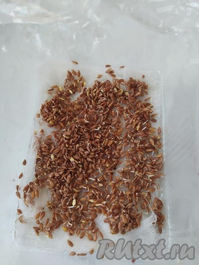 Через 2 суток, сняв плёнку, увлажните марлю (или бинт), подлив ещё 2-3 столовых ложки воды к семенам.