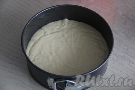 В разъёмную форму (у меня форма диаметром 20 см), смазанную маслом, выложить тесто.