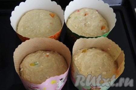 Разложить тесто по формам, заполняя их чуть больше, чем на половину. У меня получилось 4 больших кулича. Оставить в формах ещё на 1 час.