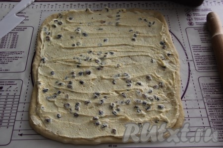 Выложить начинку из творога и изюма на раскатанное тесто и равномерно распределить её.