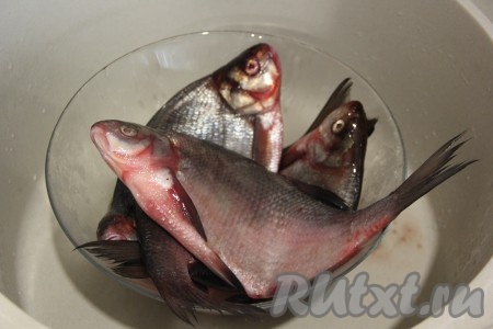 Вот такие у меня лещики. Это ещё не взрослые особи, скорее подлещики, косточки у них тонкие и их можно смело перемалывать в мясорубке, а в готовых котлетах кости совсем не чувствуются.