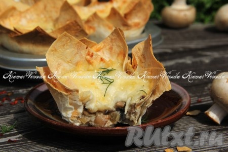 Готовый жульен достать из духовки, дать немного остыть, аккуратно вынуть из формочек. Подать закуску в горячем виде. Жульен с грибами в корзиночках из лаваша получается аппетитным и очень вкусным, попробуйте!