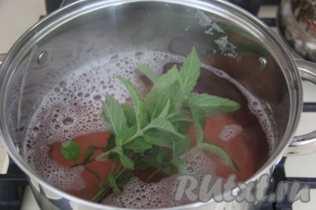 Горячий процеженный сироп вернуть в кастрюлю, добавить в него веточки мяты и оставить остывать до тёплого состояния.