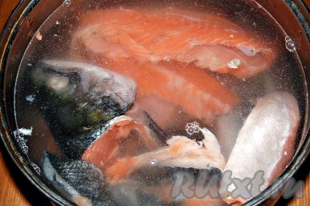 Голову, хребет, хвост семги залить холодной водой и поставить вариться.