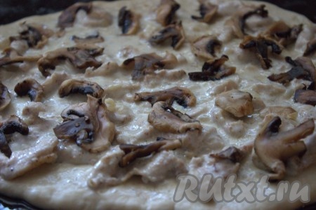 Шампиньоны вымыть, обсушить, нарезать на тонкие пластины (я использовала замороженные грибы), половину подготовленных грибочков выложить на тесто, покрытое куриным мясом в сливках.