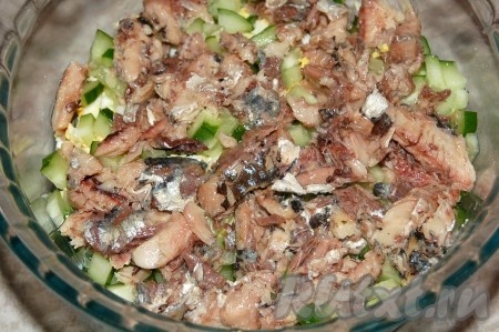 Слой сардин.