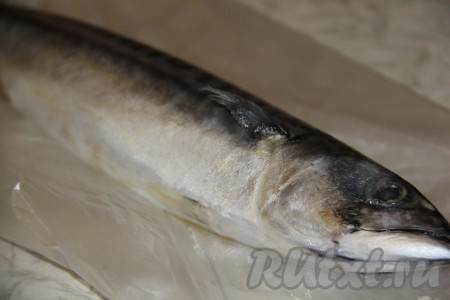 Скумбрию очистить от внутренностей, отрезать голову. 