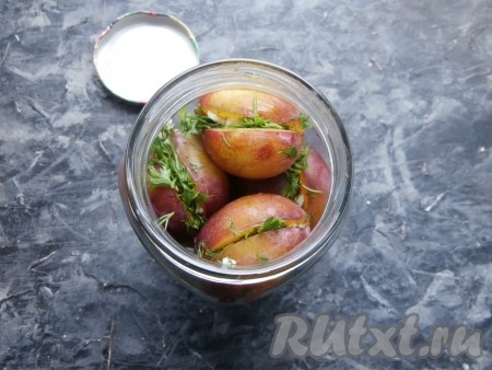 В простерилизованную баночку аккуратно и плотно выложить сливы разрезом кверху.