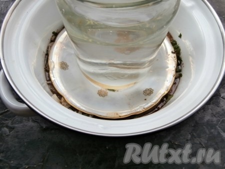 Кушать такие баклажаны можно и сразу. Но я советую настоять их под гнётом не менее часа. Сверху баклажаны накрыть подходящей тарелкой и на тарелку поместить небольшой гнёт (у меня банка с водой). Отправить конструкцию в холодильник на 1 час.