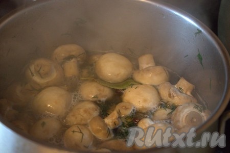 Затем в кастрюлю с рассолом выложить шампиньоны с чесноком, укропом и специями, довести до кипения, а после этого проварить на среднем огне 3-5 минут, помешивая.