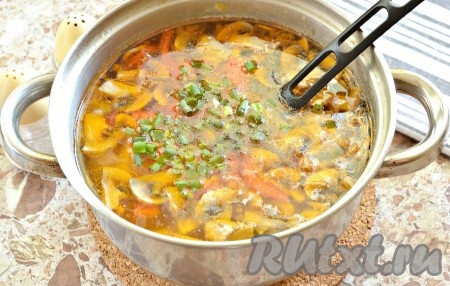 В конце приготовления картофельный суп с овощами и шампиньонами солим, посыпаем специями по вкусу, перчим, провариваем 2-3 минуты, добавляем измельчённый зеленый лук (или другую зелень, например, петрушку, укроп), даём закипеть и снимаем с огня.