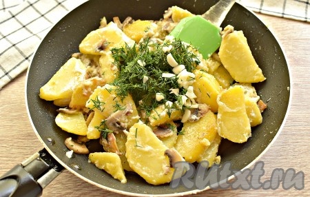 В конце приготовления добавляем в сковороду измельчённые зубчики чеснока и мелко нарезанную зелень, перемешиваем.