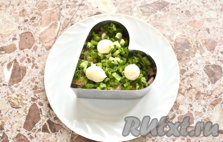 Нарезаем тонкими колечками перья зелёного лука, выкладываем поверх копчёной курицы, слегка смазываем майонезом.