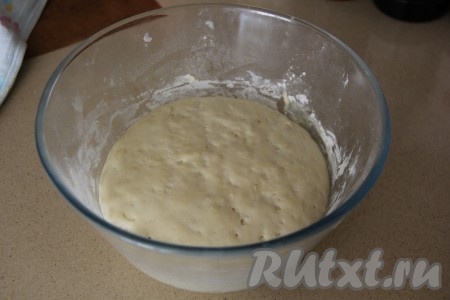 По прошествии часа тесто хорошо поднимется (ориентировочно в 2-3 раза).