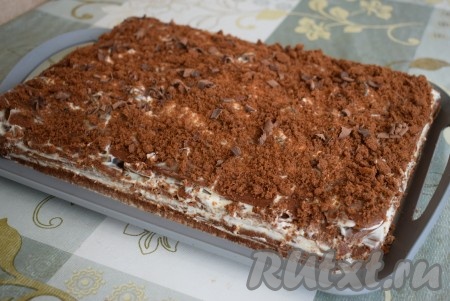 Измельчаем обрезки коржей с помощи блендера (или скалки) и посыпаем ими верх и бока торта. У меня было немного шоколада и я добавила его к посыпке. Наш шоколадный медовик со сметанным кремом и черносливом готов.