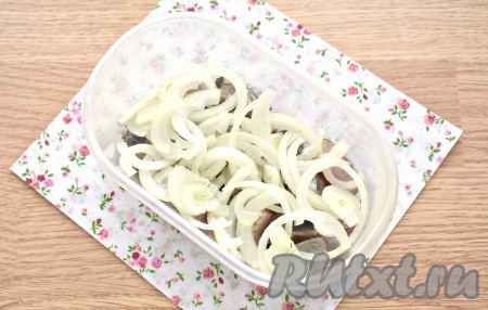 Репчатый лук нарезаем тонкими полукольцами. Добавляем нарезанный лук к селёдке.