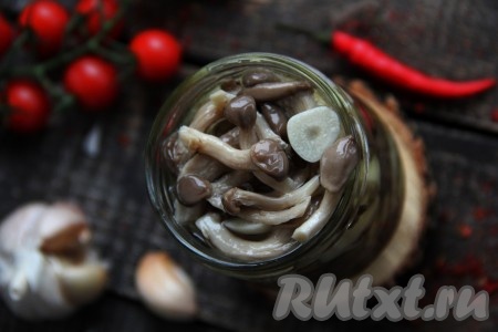 В конце варки добавить лепестки чеснока, варить 1 минуту. Кастрюлю с грибами убрать с огня, переложить вешенки вместе с горячим маринадом в чистую банку. Дождаться пока грибочки остынут, а затем банку с вешенками, закрыв крышкой, убрать в холодильник, как минимум, на 10 часов.