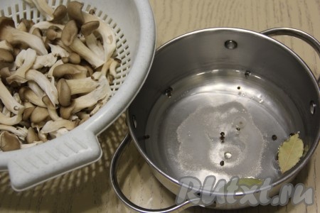 Влить в кастрюлю 200 мл воды, уксус и растительное масло, добавить соль, лавровые листья, горошины перца. Вешенки срезать с плодоножки и разделить на отдельные грибочки. Промыть грибы под проточной водой.