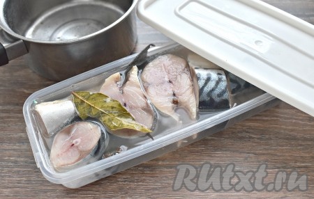Заливаем полностью кусочки скумбрии приготовленным рассолом. Лавровый лист и специи из рассола тоже выкладываем к рыбке.