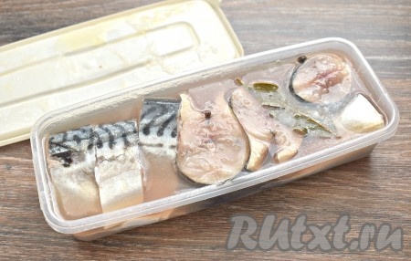 Контейнер со скумбрией закрываем крышкой и оставляем на 12 часов при комнатной температуре, затем убираем рыбу в холодильник на сутки.