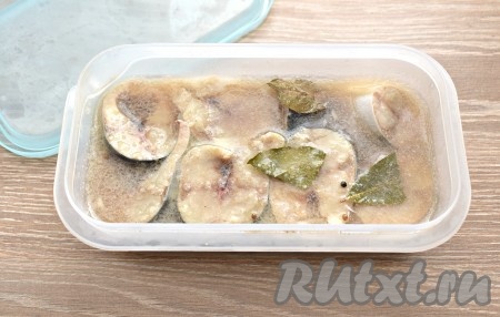 Контейнер накрываем крышкой и убираем в холодильник на 24 часа.