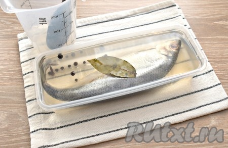 Полностью заливаем селёдку остывшим рассолом. Специи из рассола тоже выкладываем к рыбе.