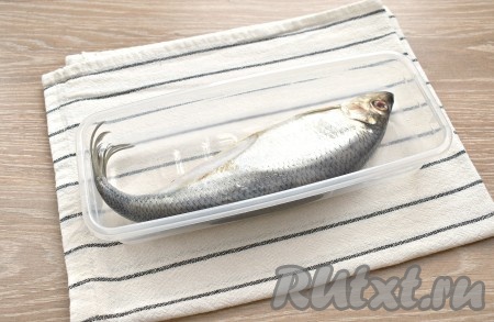 Сельдь промываем под проточной водой, потрошить её не нужно. Я солила селёдку в контейнере, подойдёт также стеклянная миска или банка. Перекладываем рыбу в контейнер.