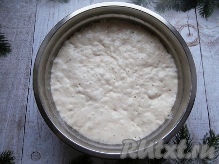 Утром тесто достать, оно уже достаточно увеличится в объёме (раза в 3), дать ему нагреться в течение 1-2 часов при комнатной температуре. Тесто уже сильно увеличиваться не будет, но хорошо будут видны пузырьки.