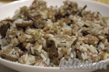 Перемешать содержимое миски до однородного состояния, посолить, приправить специями по вкусу, снова перемешать и начинка для голубцов готова.