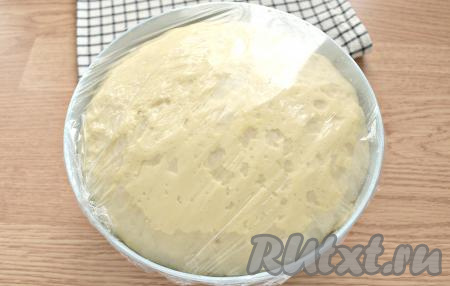 Вот такое тесто получилось у меня уже через 1 час. Через каждый час тесто обминайте руками. В результате тесто должно увеличиться раза в 2-3.