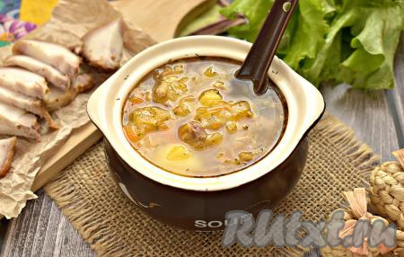 Вкусные, ароматные, сытные щи, сваренные из свинины и свежей капусты готовы. Разливаем блюдо по тарелкам и подаём к столу, дополнив, по желанию, майонезом или сметаной.