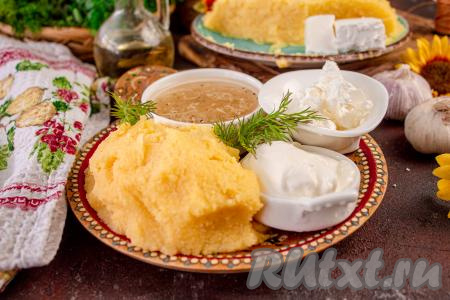 Я подавала мамалыгу со сметаной, с тёртой брынзой и соусом "Муждей" - это очень вкусно и сытно!